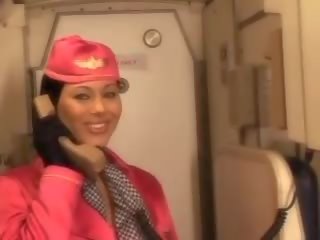 Swell air hostess sucking pilots big dick