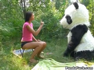 Netīras filma uz the meži ar a milzīgs rotaļlieta panda