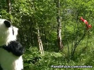 Rojo cabalgando capó follada por panda