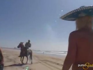 Attractive Puma Swede in Mexico on a horse