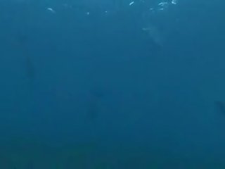 Bajo el agua sucio película