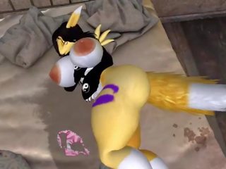 Senny renamon