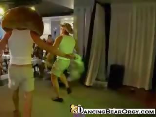 Bailando osos strippers perform para cachondo mujeres